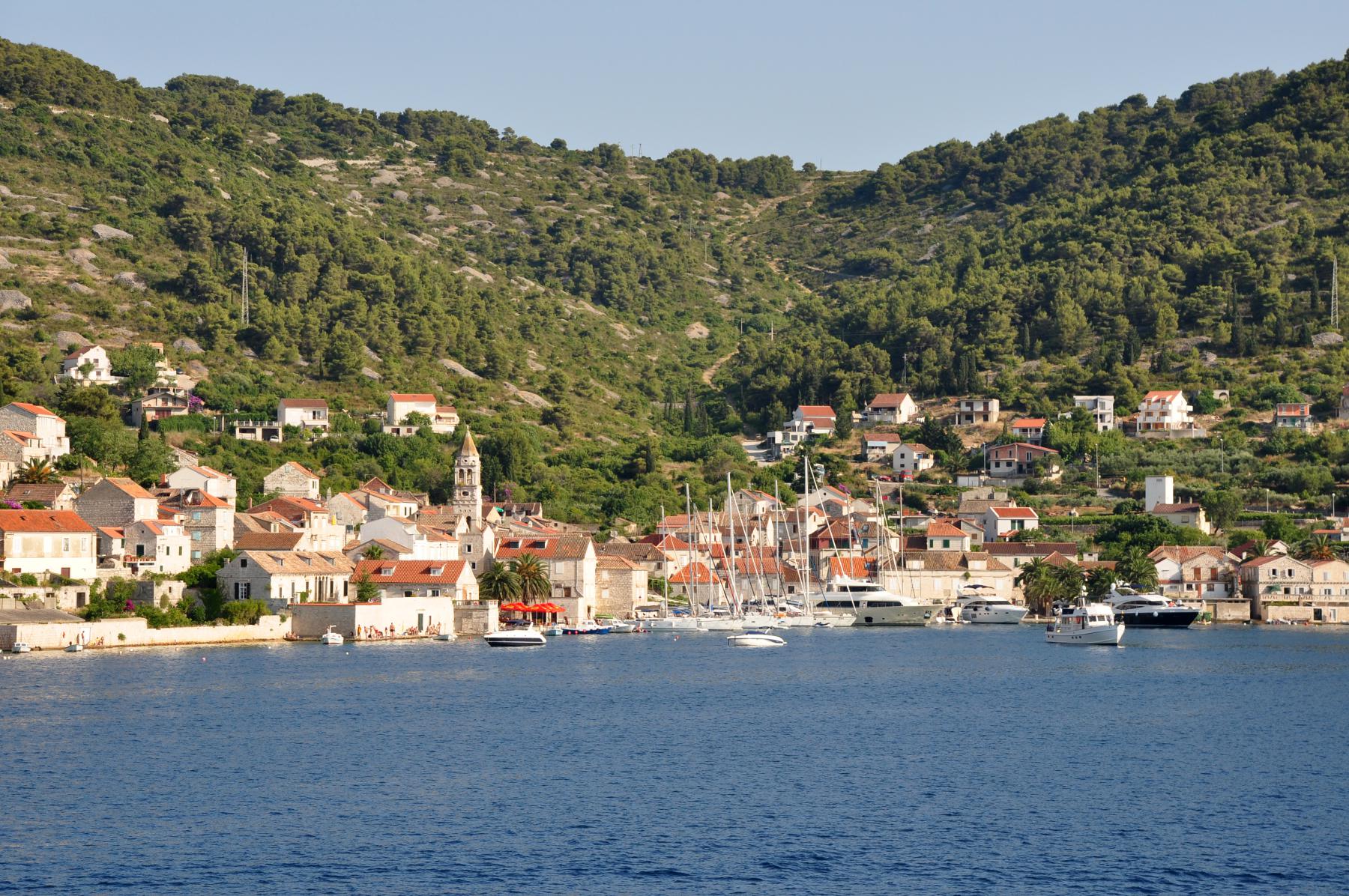 Vis
